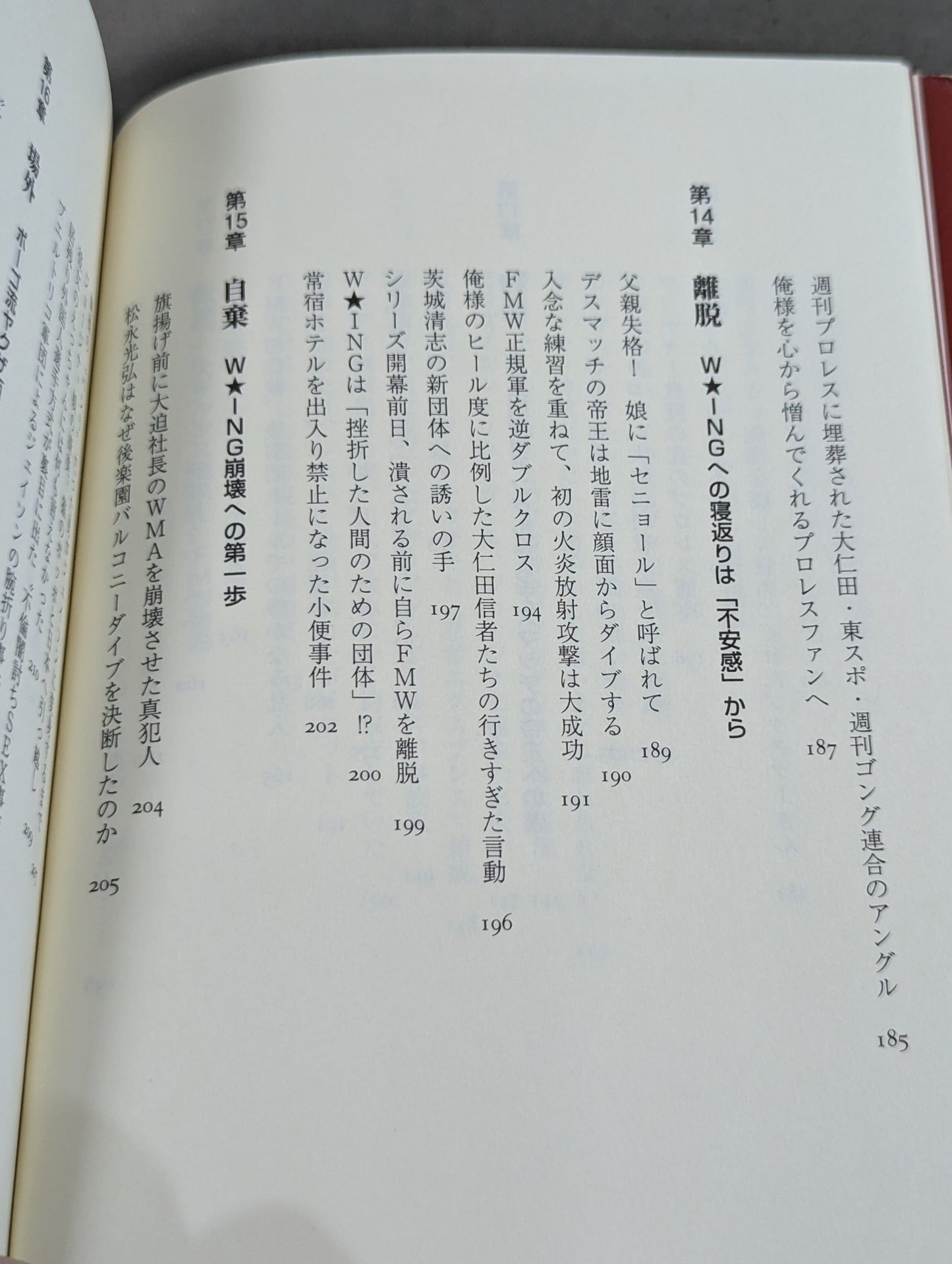 ある悪役レスラーの懺悔