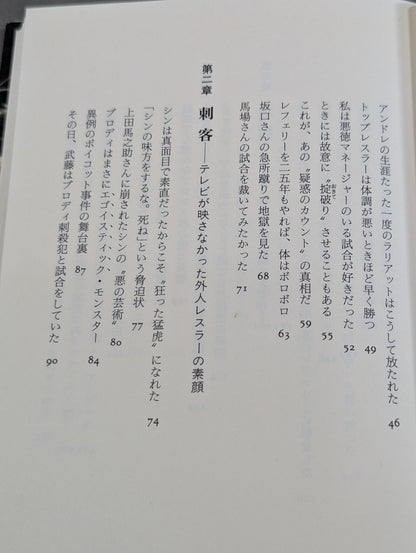 プロレス 至近距離の真実