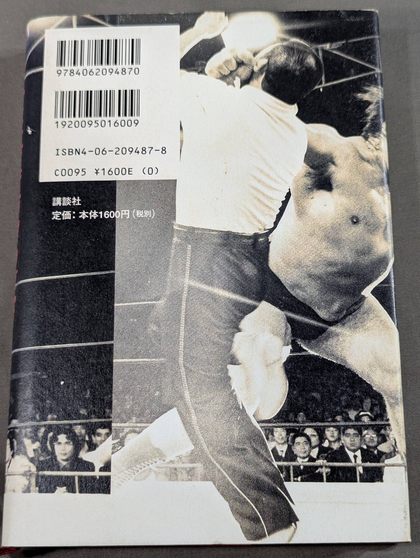 プロレス 至近距離の真実