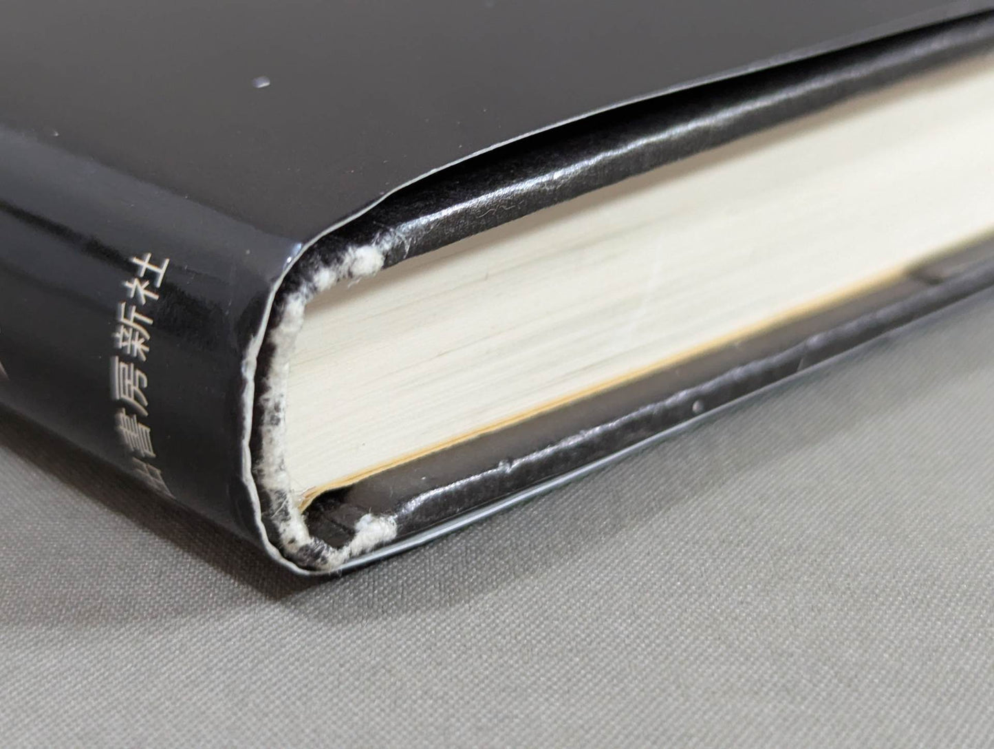 The Strongest Legend: The Battle of the Gracie Clan