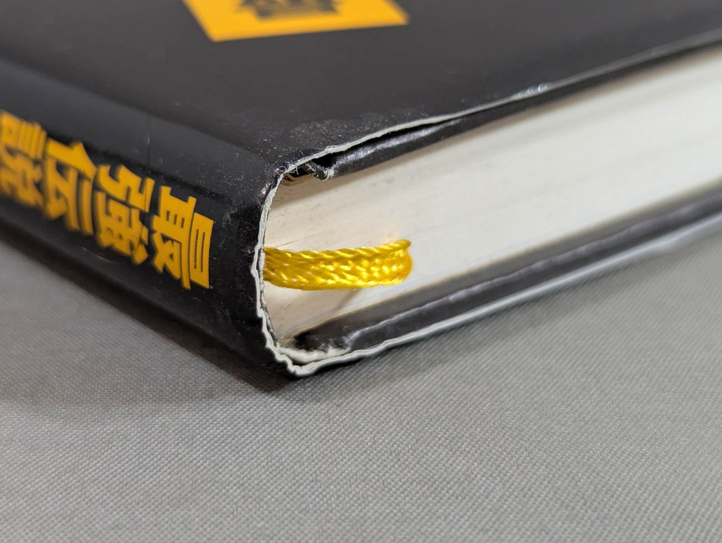 The Strongest Legend: The Battle of the Gracie Clan