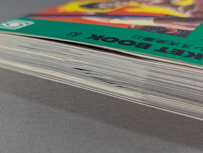 ポケットブック83 平成プロレス30団体の見方・読み方