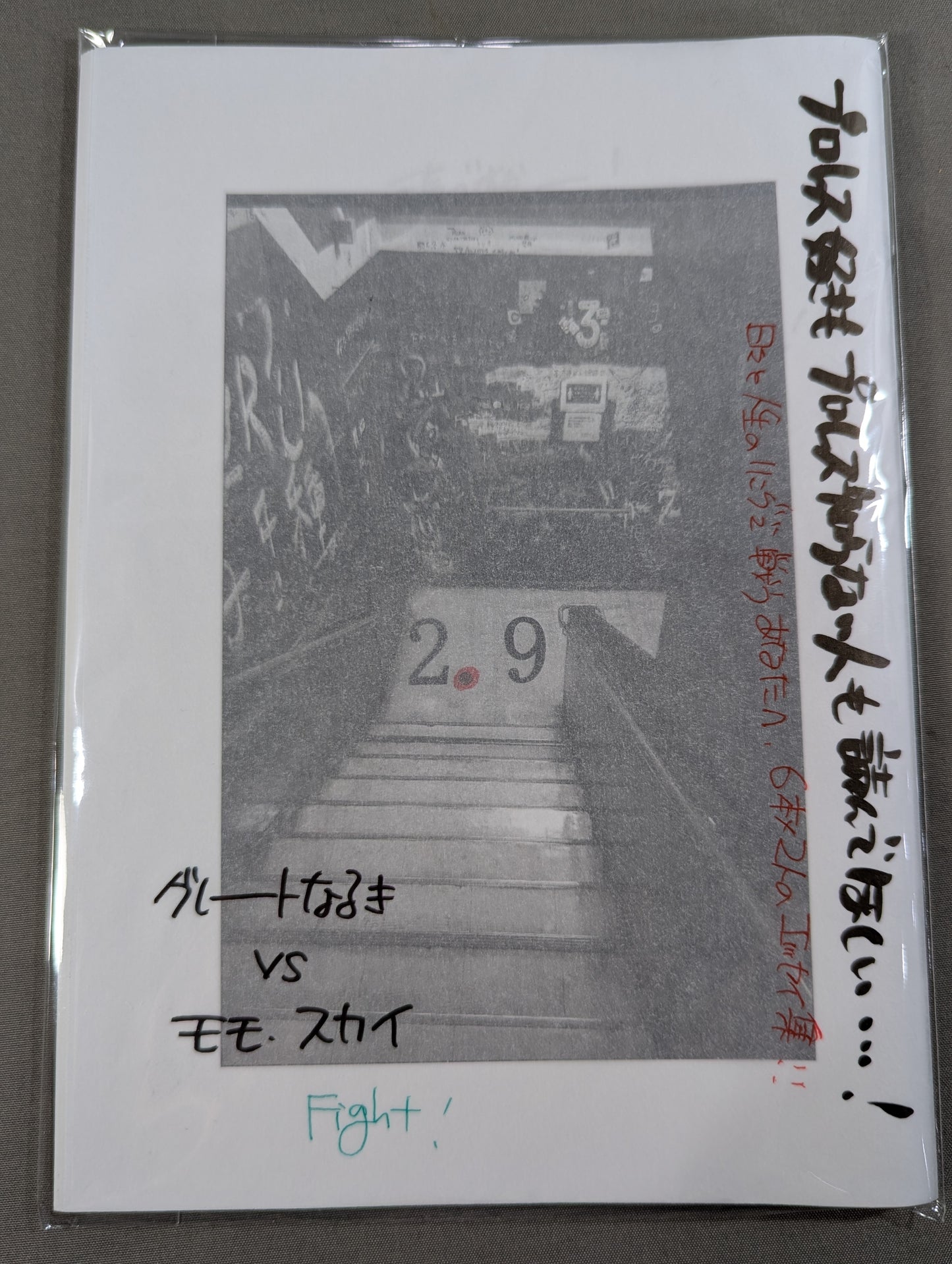 【日々リングに立つあなたに送るプロレスと人生のZINE】2.9（ニーテンキュー）