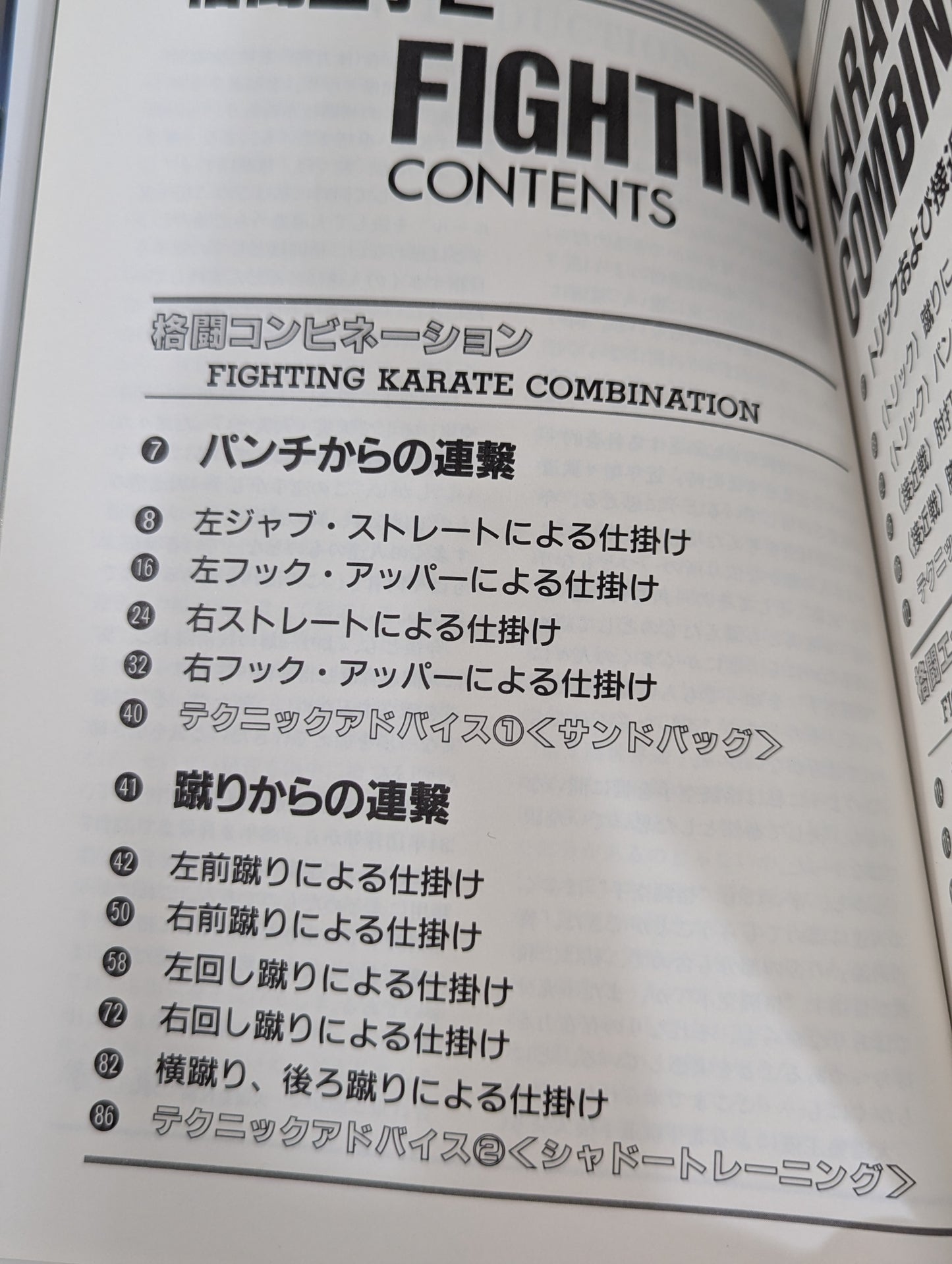 格闘空手2 FIGHTING KARATE COMBINATION