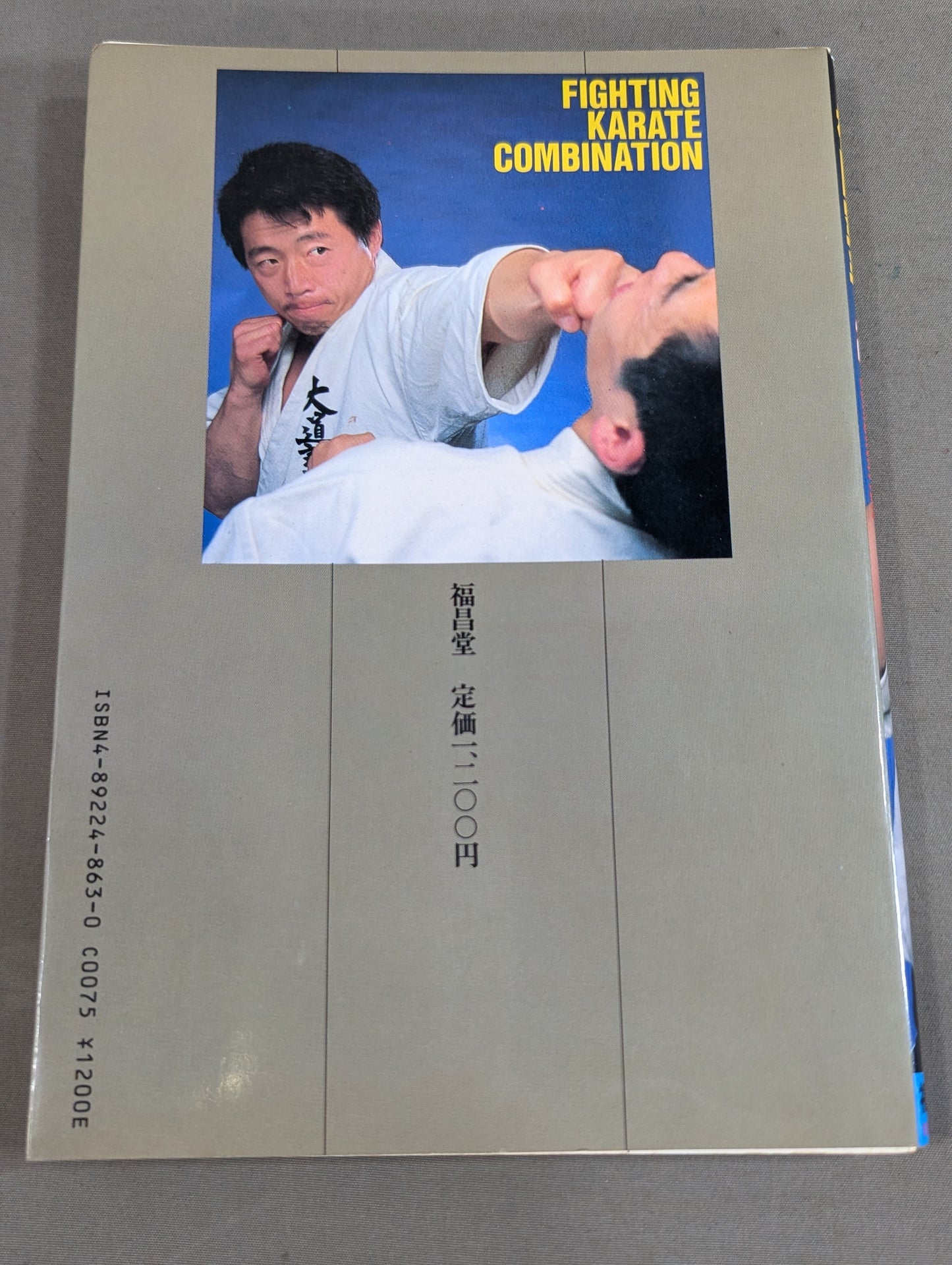 格闘空手2 FIGHTING KARATE COMBINATION