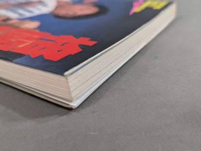 格闘空手2 FIGHTING KARATE COMBINATION