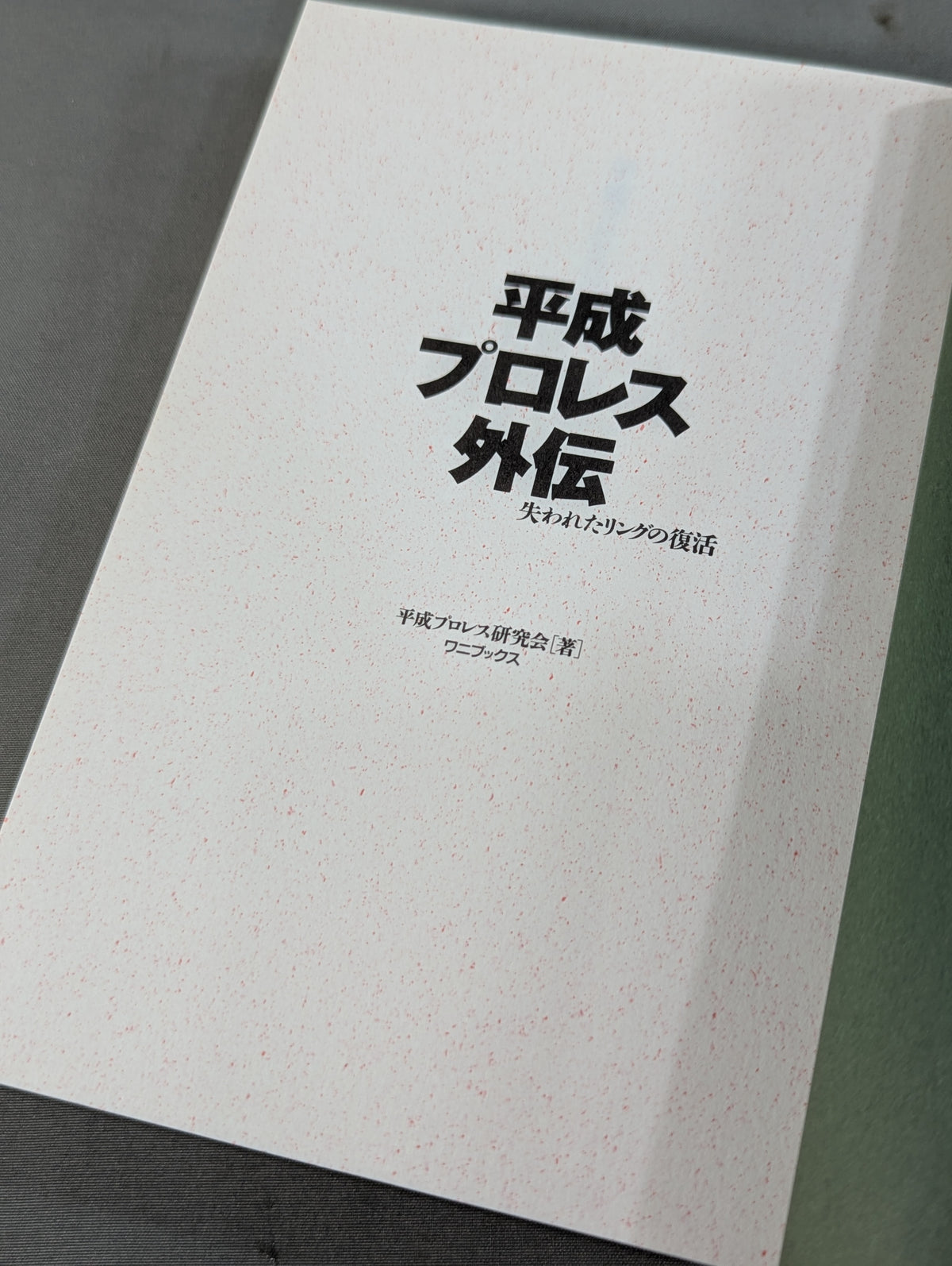 Heisei Pro Wrestling  Gaiden Revival of the Lost Ring