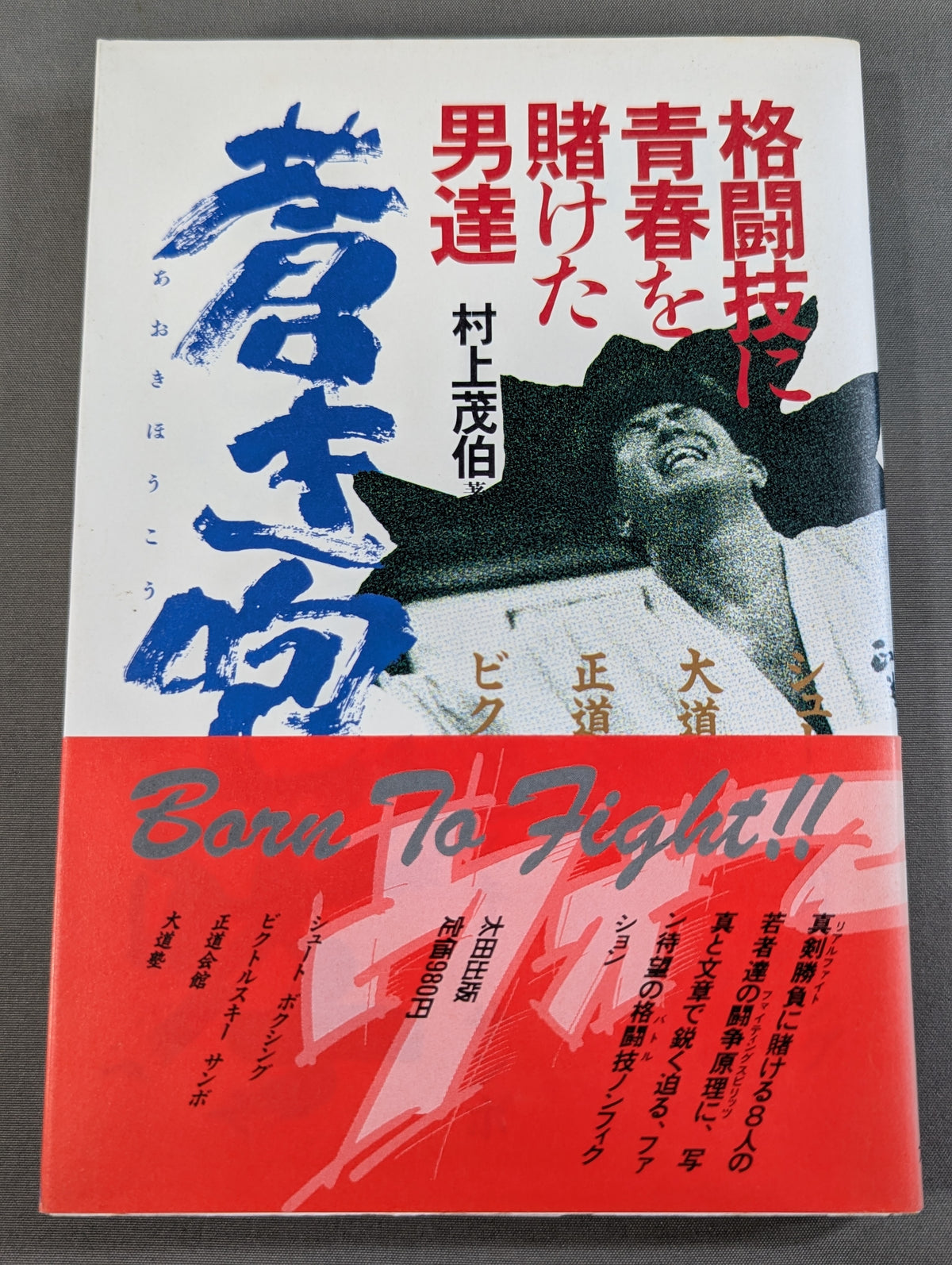 Blue Roar: Men Who Risked Their Youth on Martial Arts