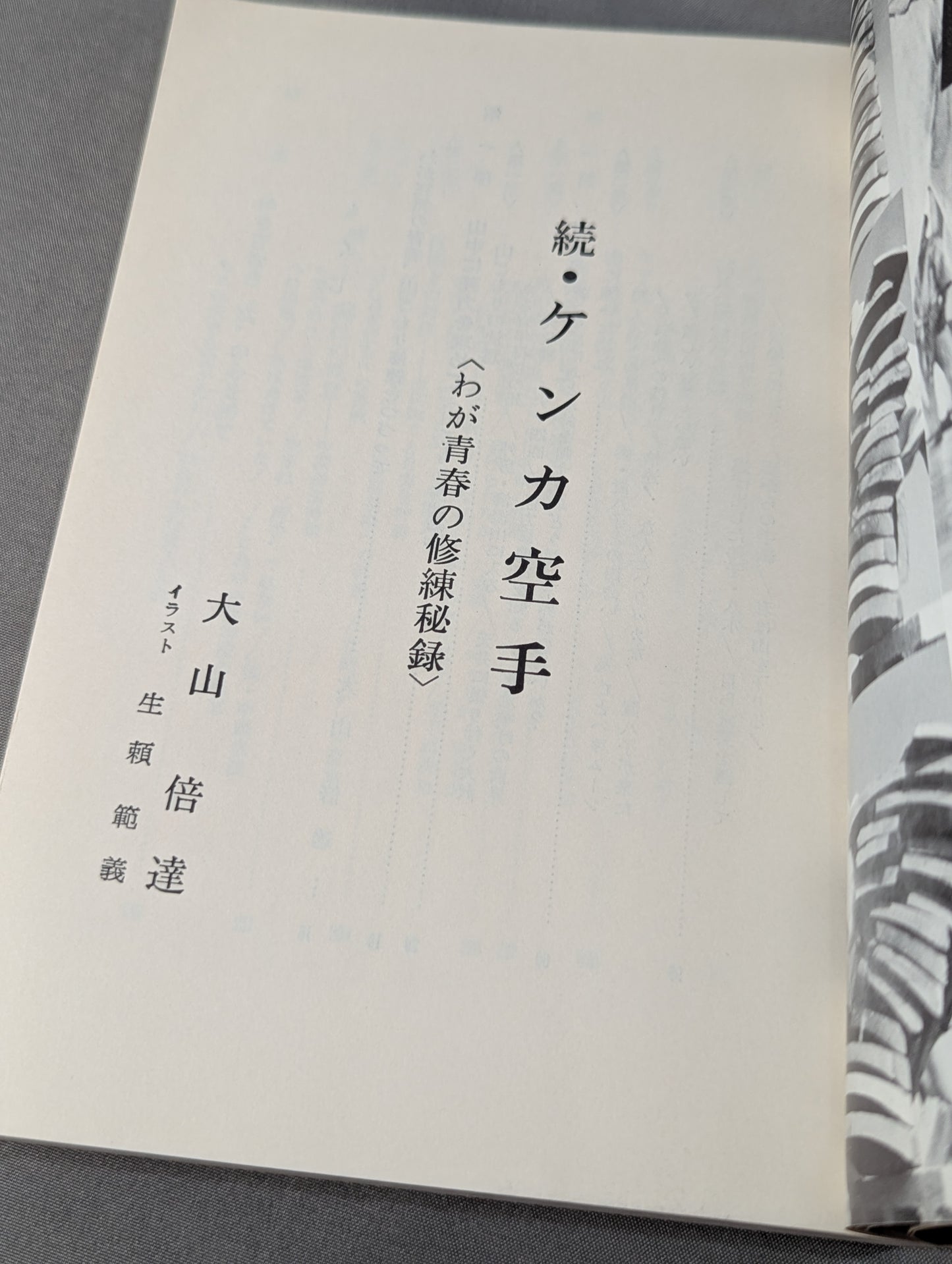 Continuation of the fight KARATE  The secret record of my youth's training