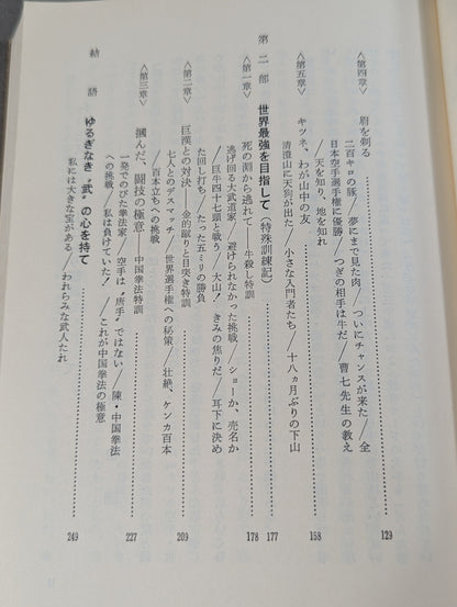 Continuation of the fight KARATE  The secret record of my youth's training