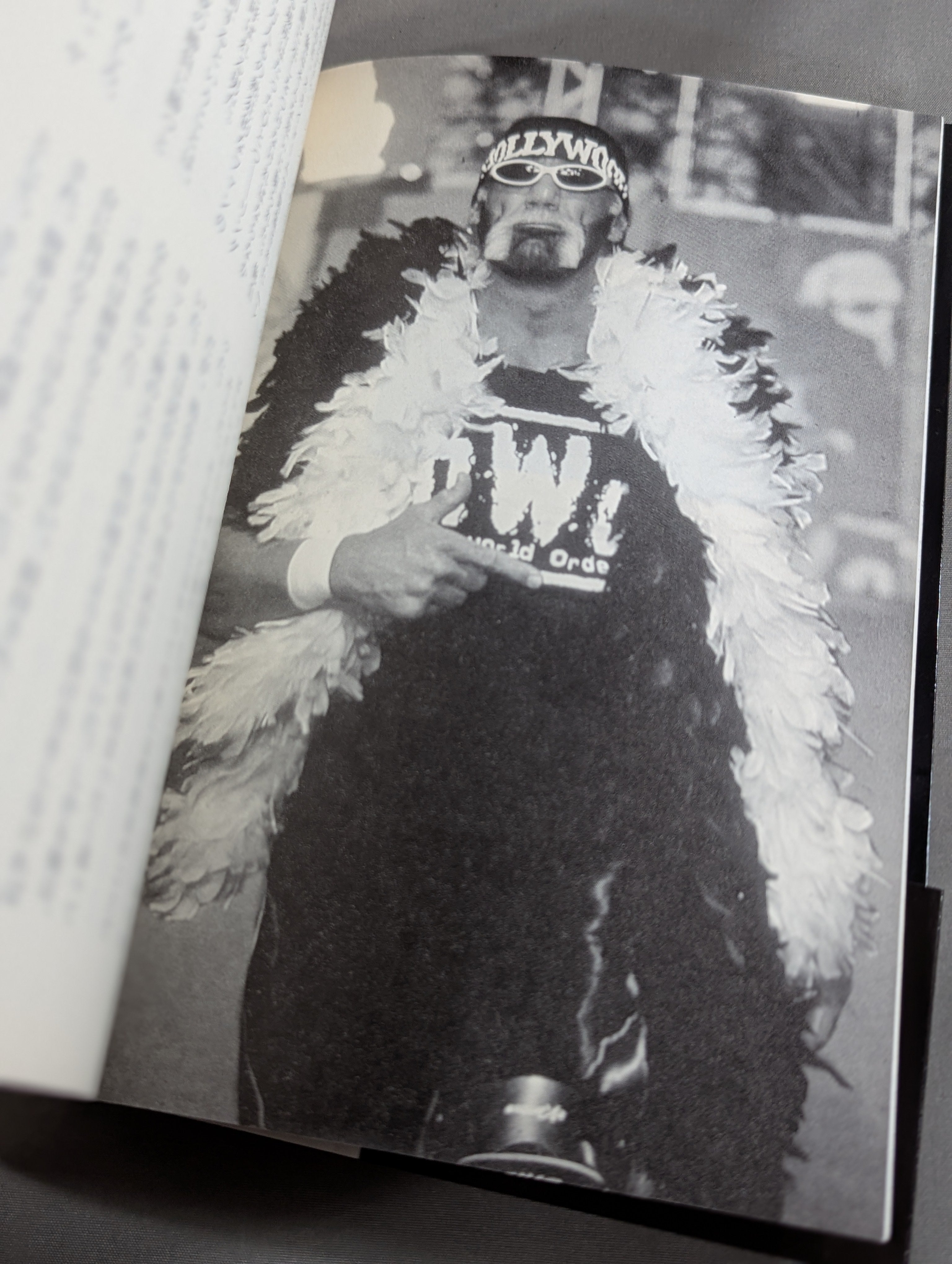 ハルク・ホーガン自伝 Hollywood Hulk Hogan – 闘道館