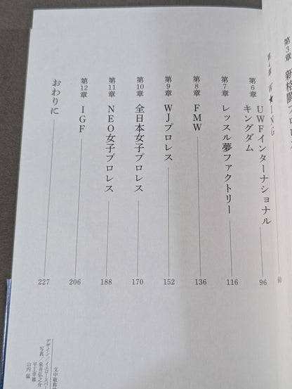 Heisei mat world Pro Wrestling promotion The end of