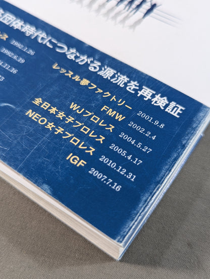 Heisei mat world Pro Wrestling promotion The end of