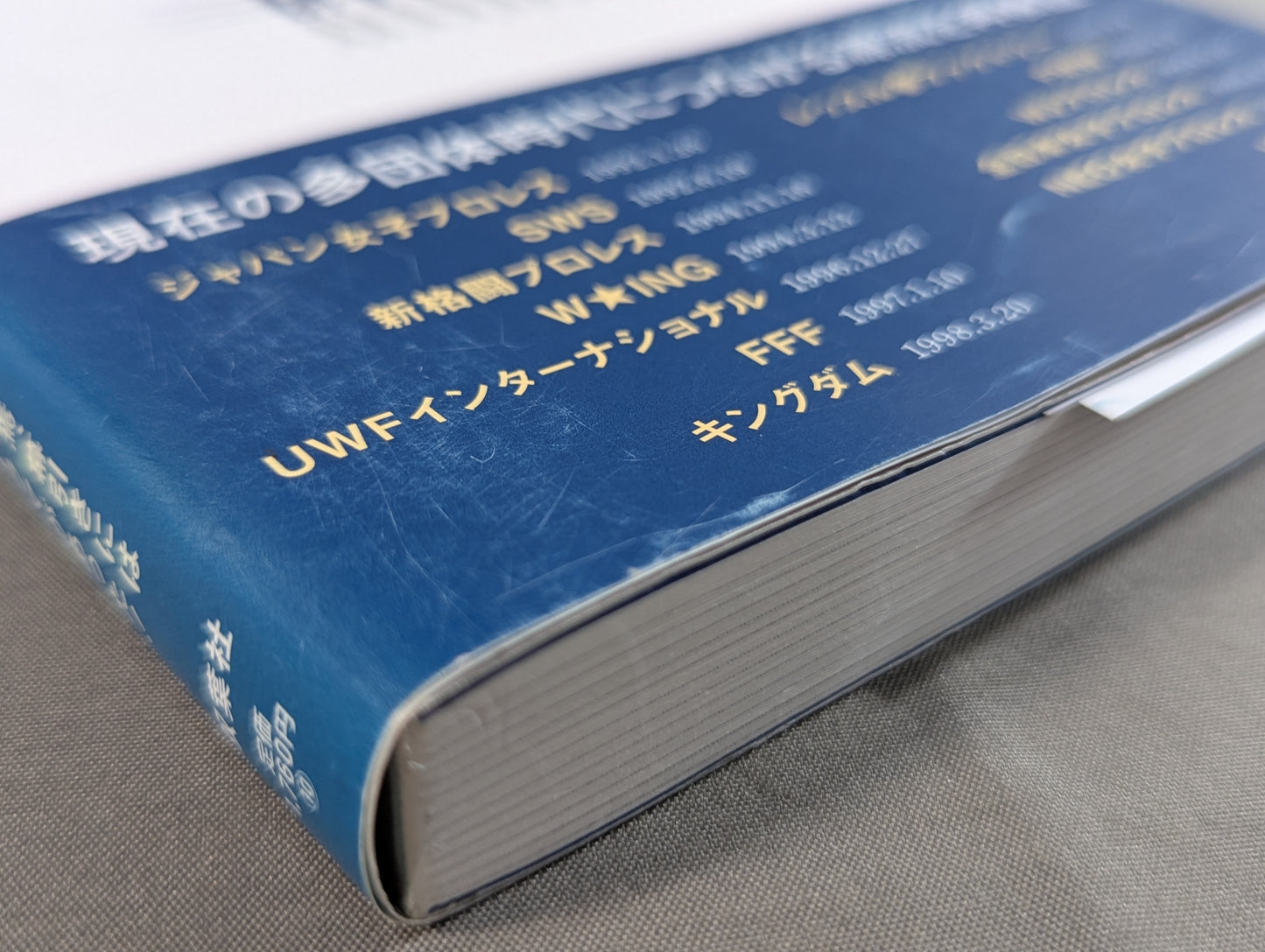 Heisei mat world Pro Wrestling promotion The end of
