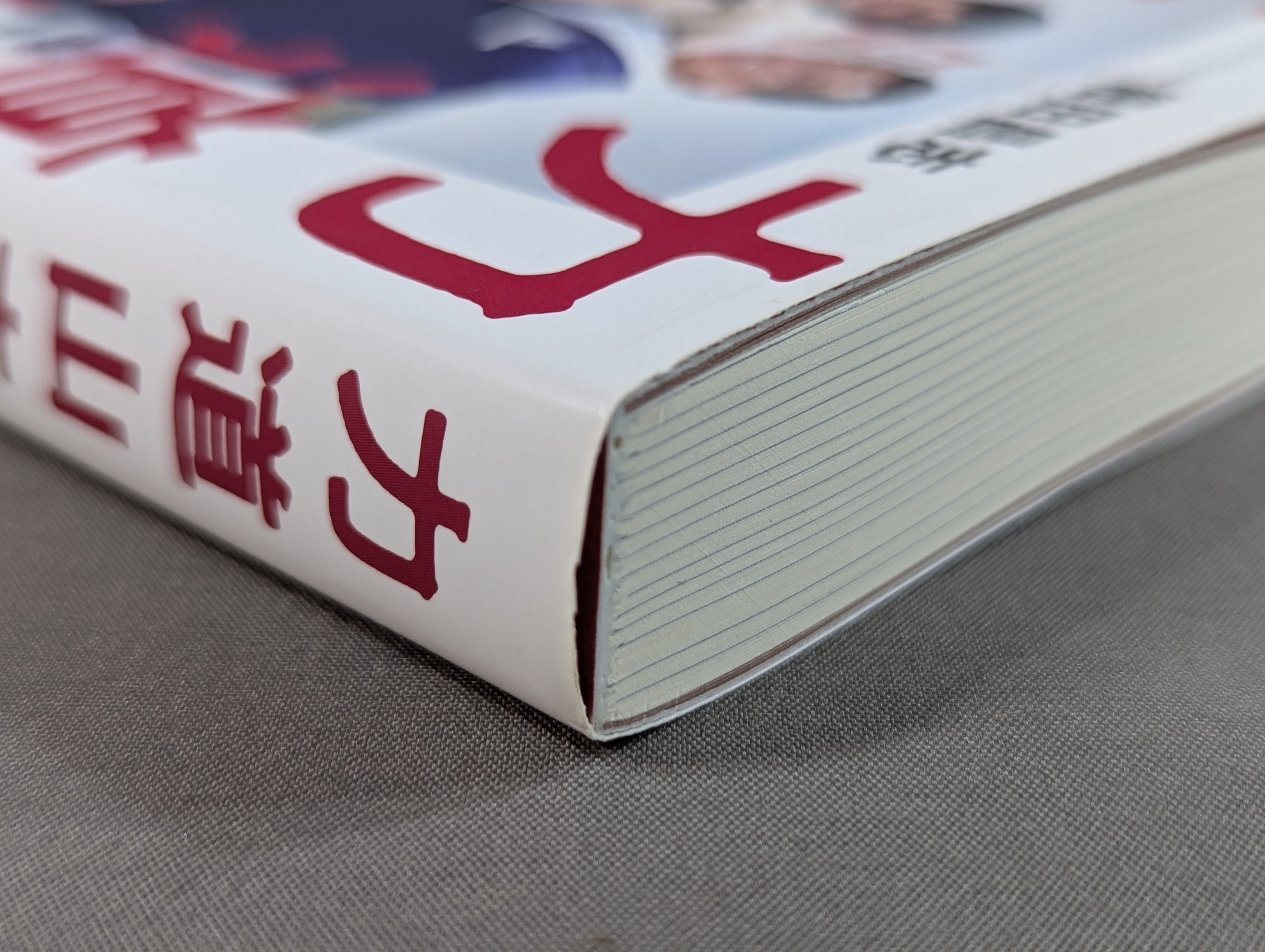 力道山未亡人 – 闘道館