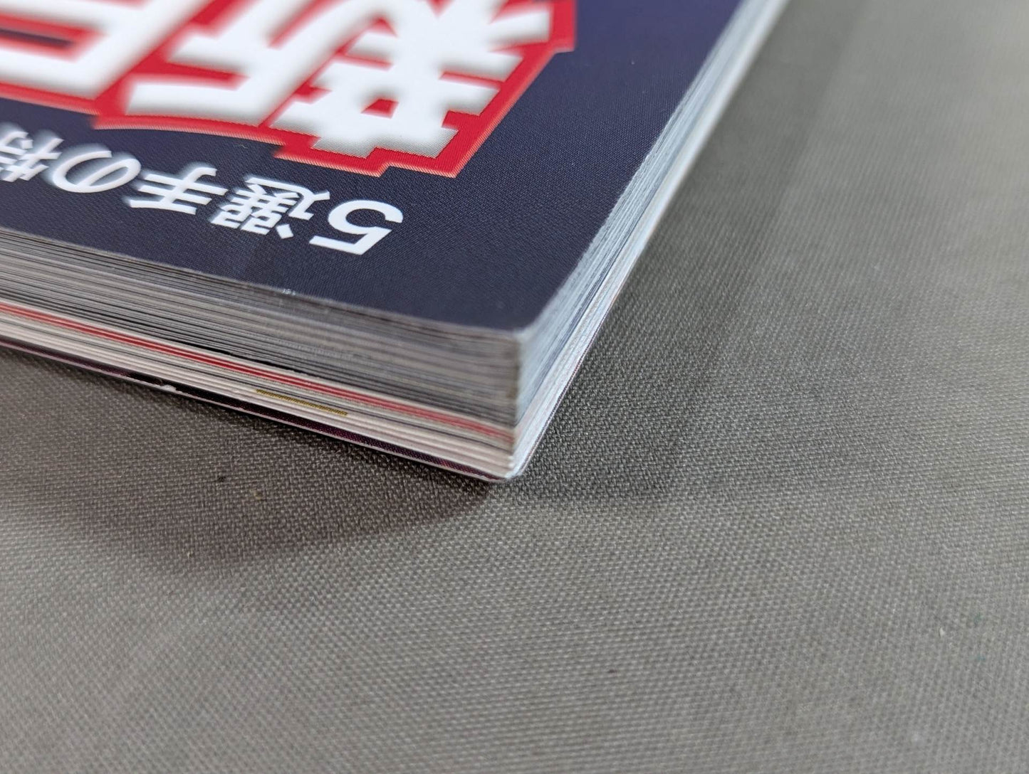 【2選手直筆サイン入り】新日本プロレスぴあ2015