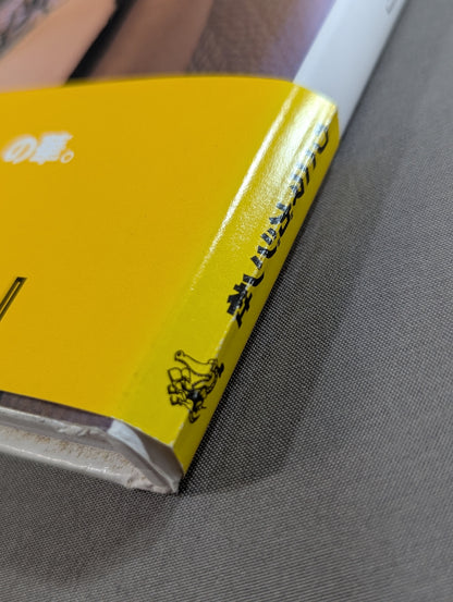 羽柴まゆみ 写真集 W-TACKLE ～ ダブルタックル