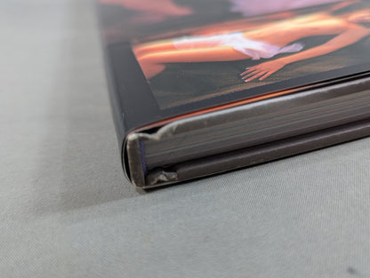 大向美智子 写真集 Nang Far