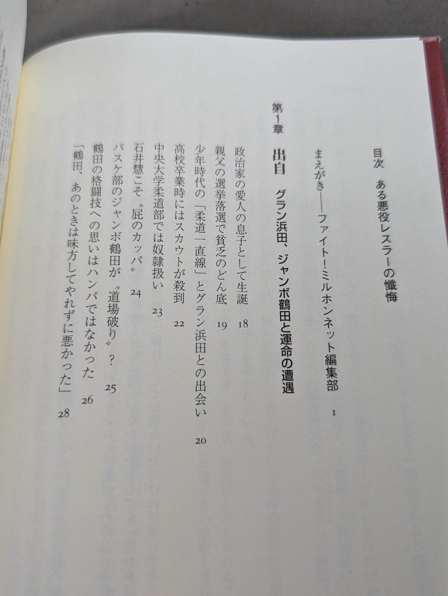 Confession of a villainous wrestler