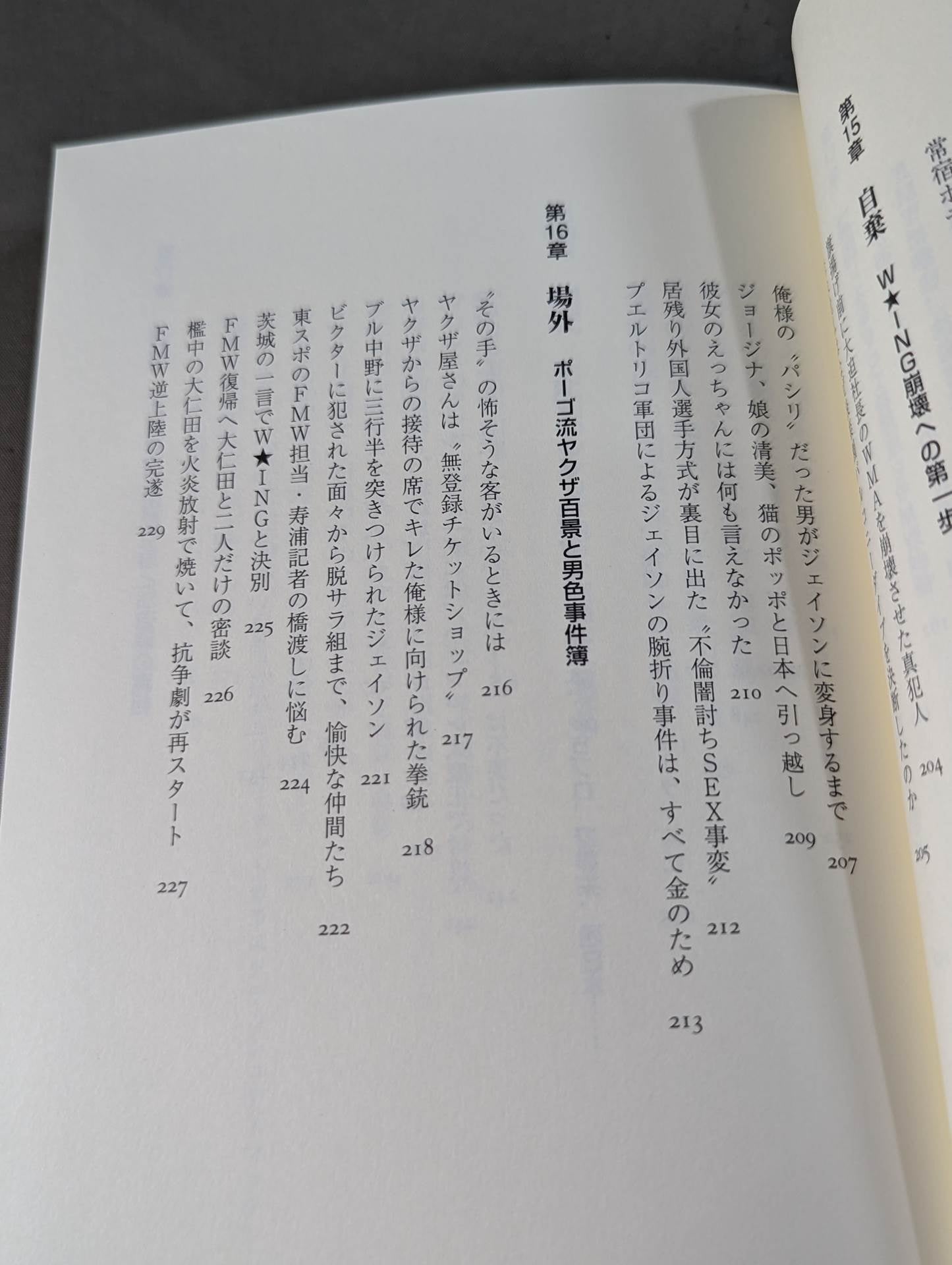 Confession of a villainous wrestler