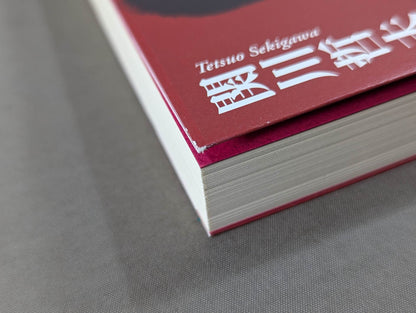 Confession of a villainous wrestler