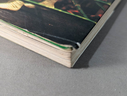 ボクシング  強い選手になろう