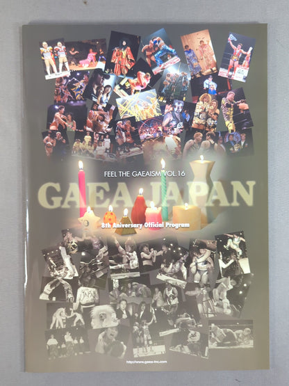 ★ Toyoda vs Satomura WWWA Match ★ FEEL THE GAEAISM Vol.16 / 8th Anniversary Official Prpgram