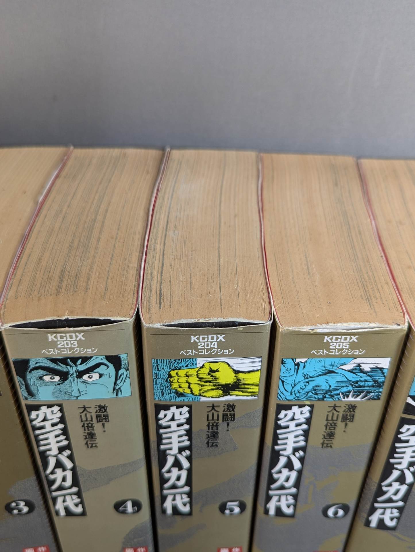 [Deluxe edition, 8-volume set] Karate for Life (Karate Baka Ichidai) 