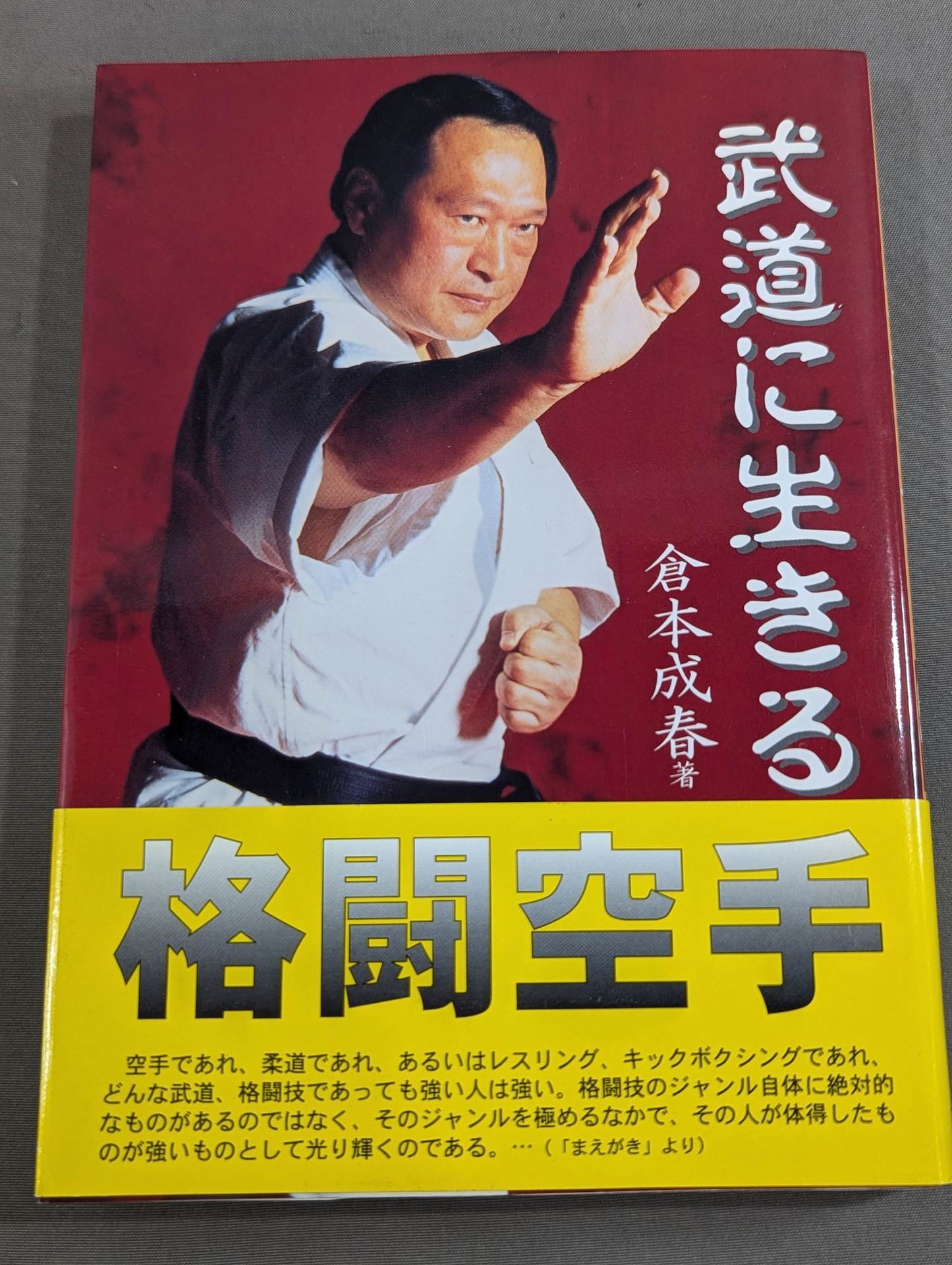 Fighting KARATE Living in Martial Arts