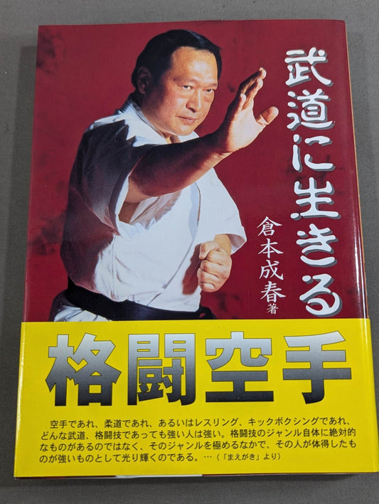 Fighting KARATE Living in Martial Arts
