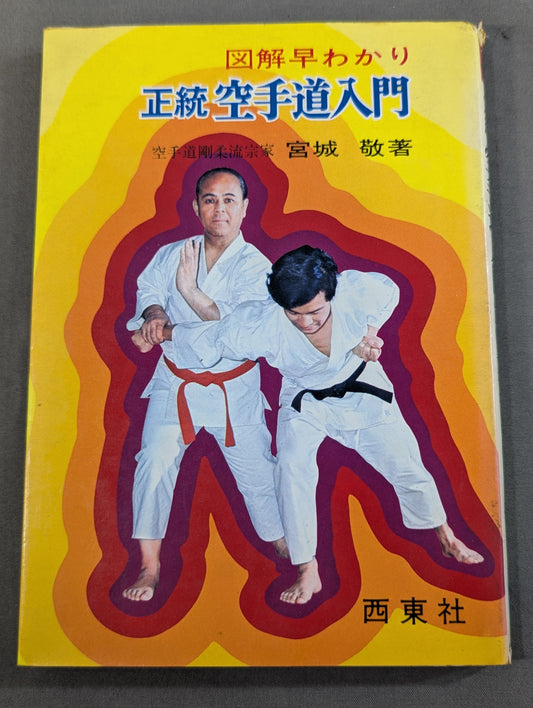 図解早わかり 正統 空手道入門
