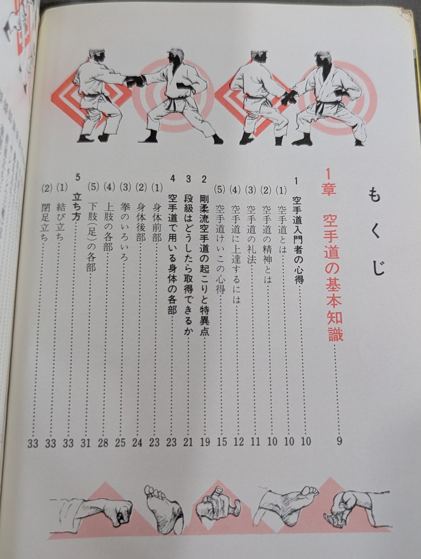 図解早わかり 正統 空手道入門