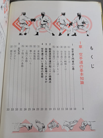 図解早わかり 正統 空手道入門