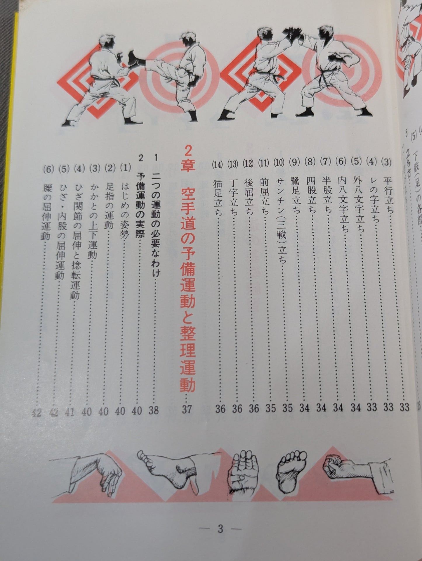 図解早わかり 正統 空手道入門