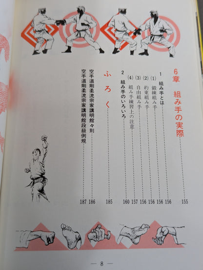 図解早わかり 正統 空手道入門