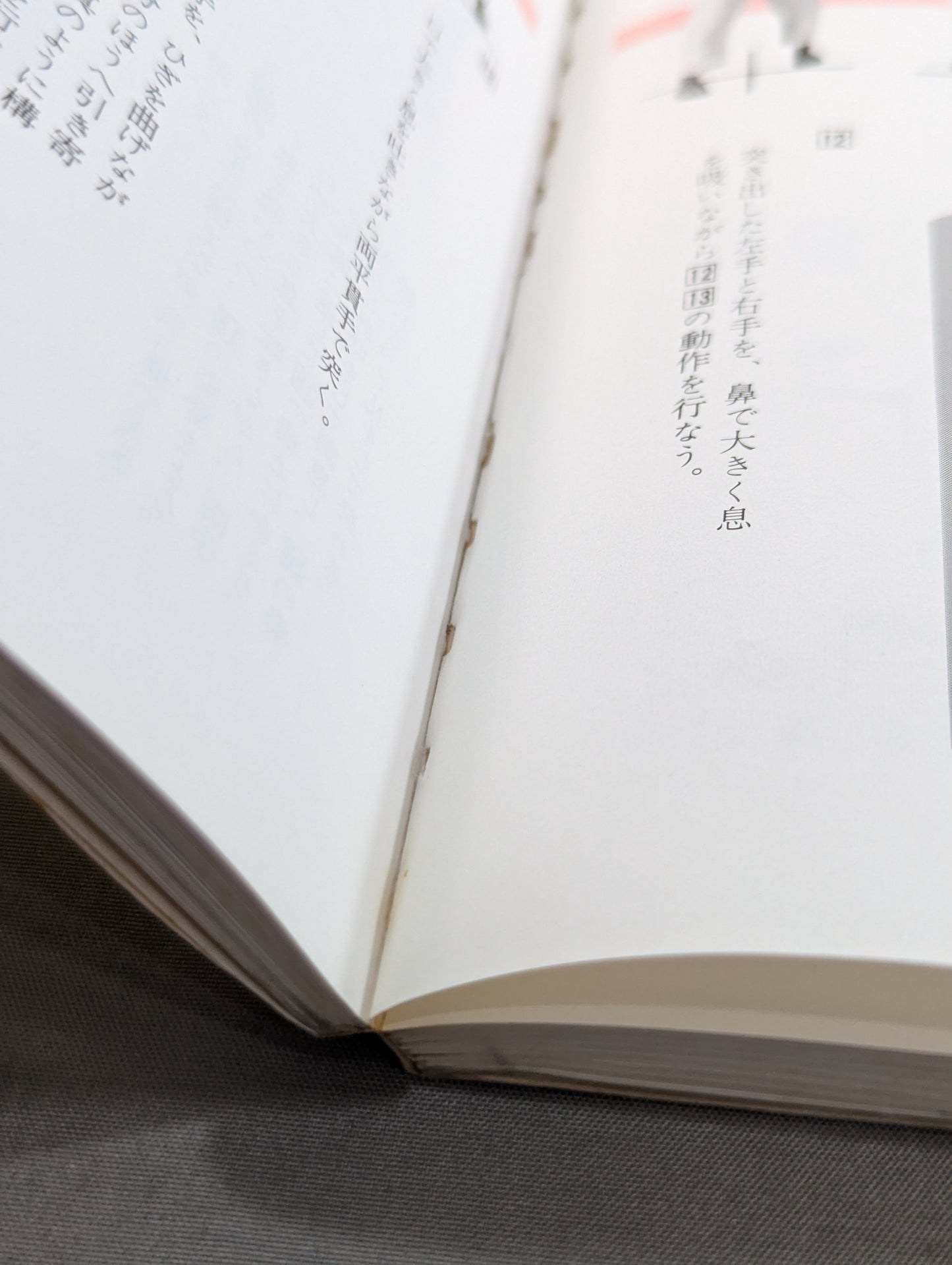 図解早わかり 正統 空手道入門