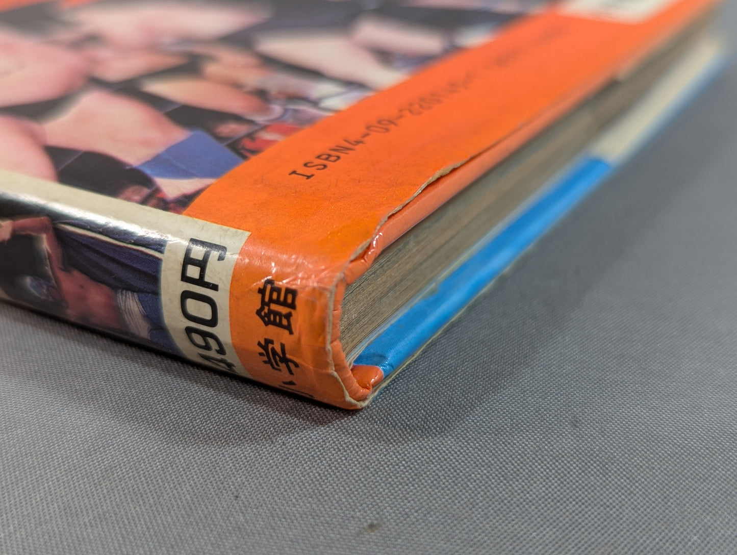 Let's Fight! Pro Wrestling  Shogakukan Introductory Encyclopedia Series 145