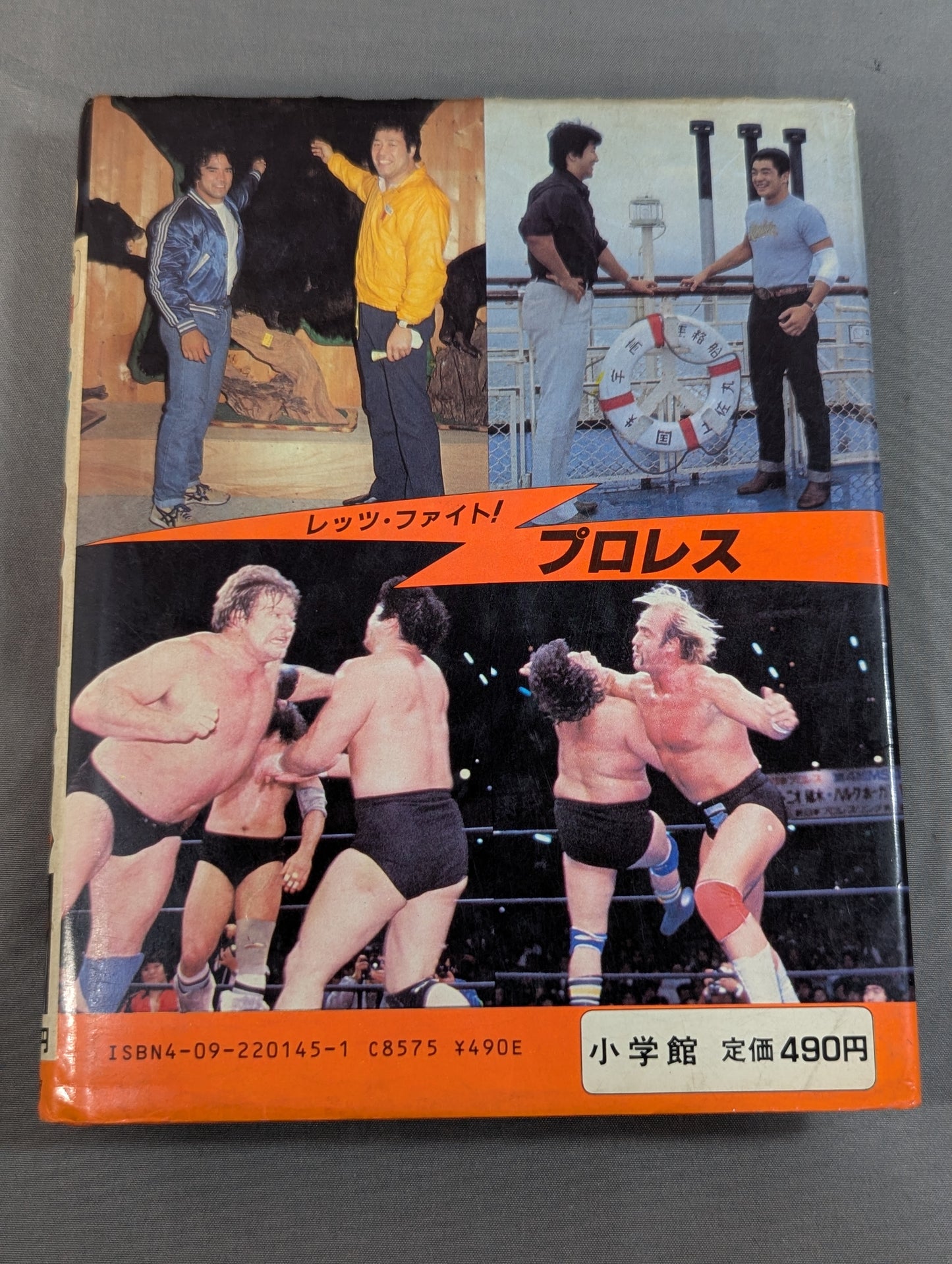 Let's Fight! Pro Wrestling  Shogakukan Introductory Encyclopedia Series 145
