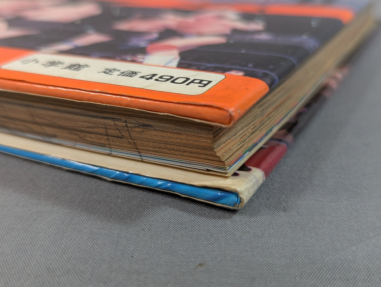 Let's Fight! Pro Wrestling  Shogakukan Introductory Encyclopedia Series 145