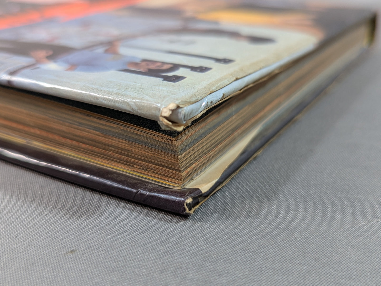 Let's Fight! Pro Wrestling  Shogakukan Introductory Encyclopedia Series 145