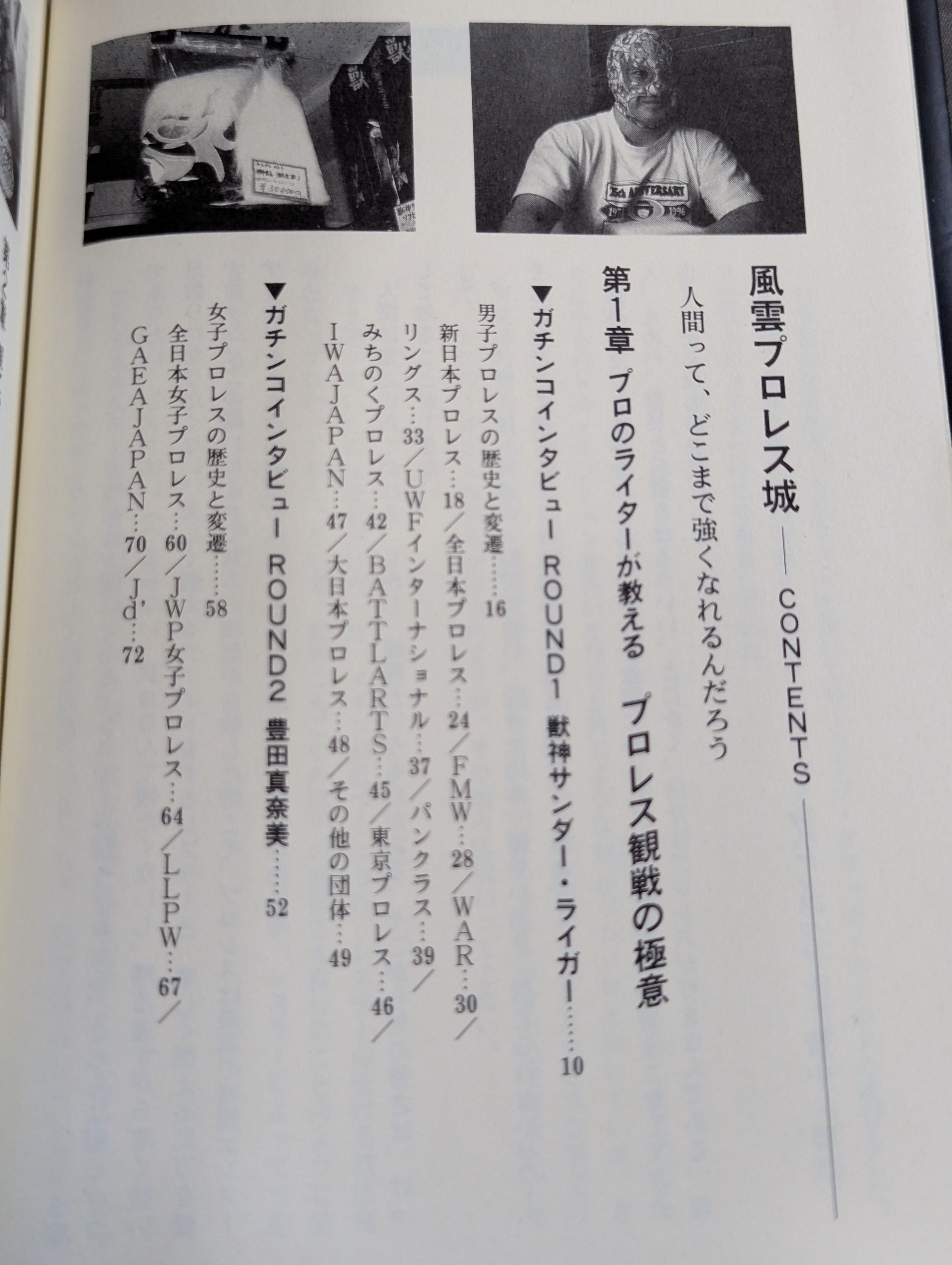 風雲プロレス城 プロレス必勝ガイド決定版 – 闘道館