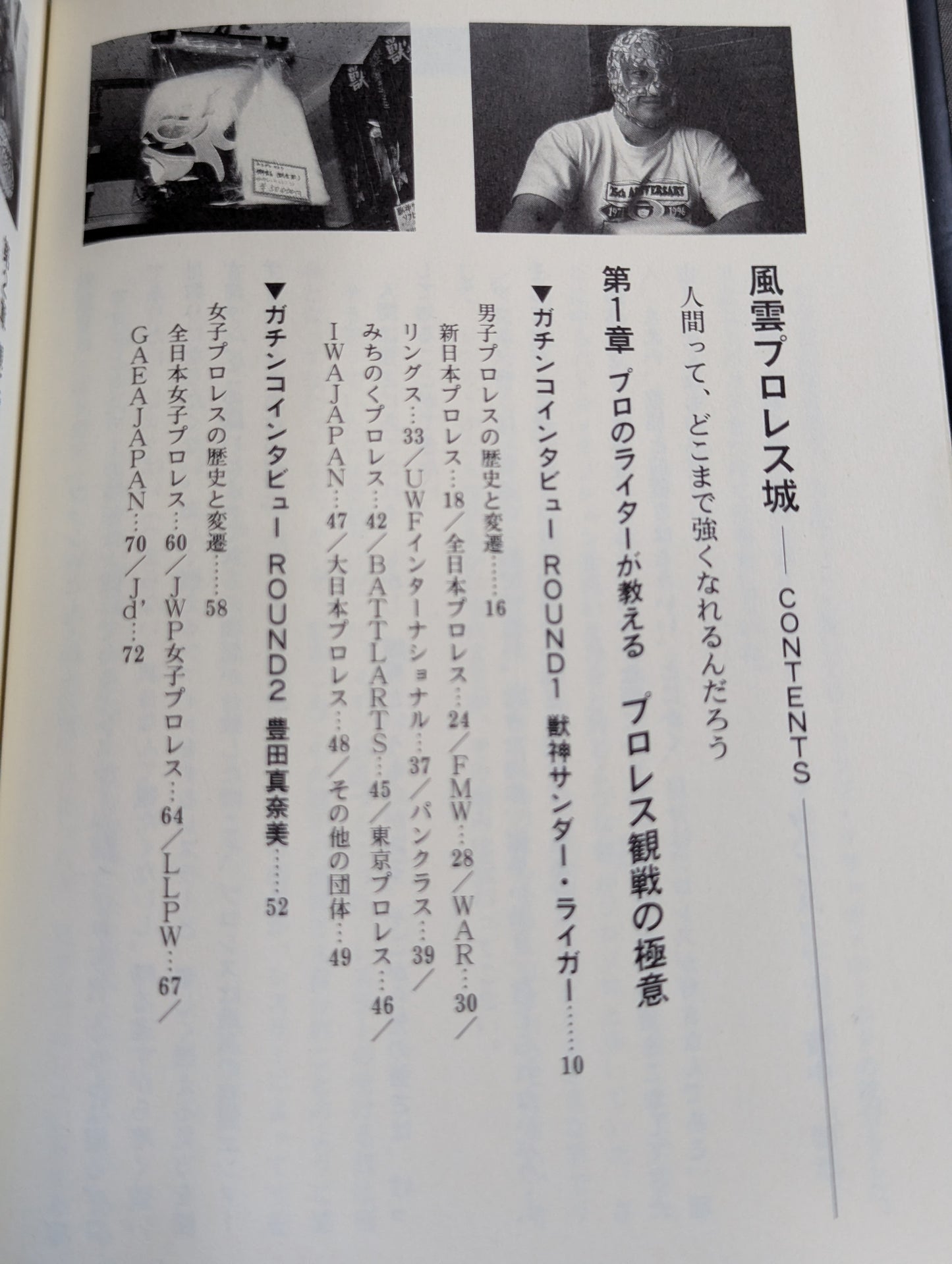 風雲プロレス城 プロレス必勝ガイド決定版