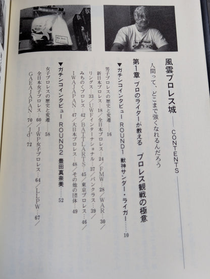 風雲プロレス城 プロレス必勝ガイド決定版