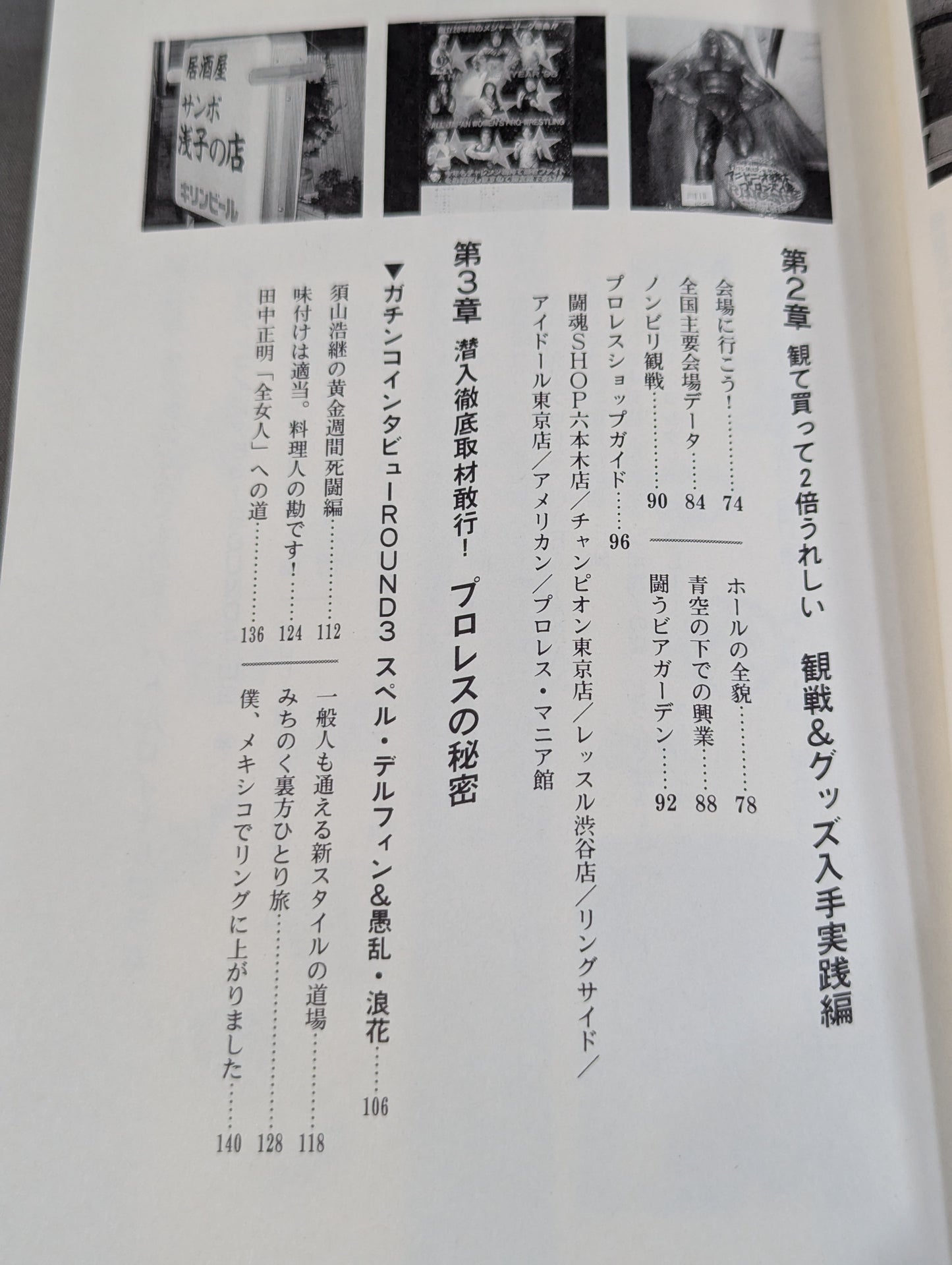 風雲プロレス城 プロレス必勝ガイド決定版