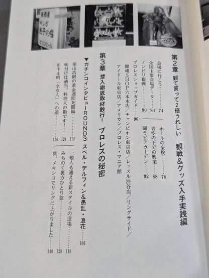 風雲プロレス城 プロレス必勝ガイド決定版