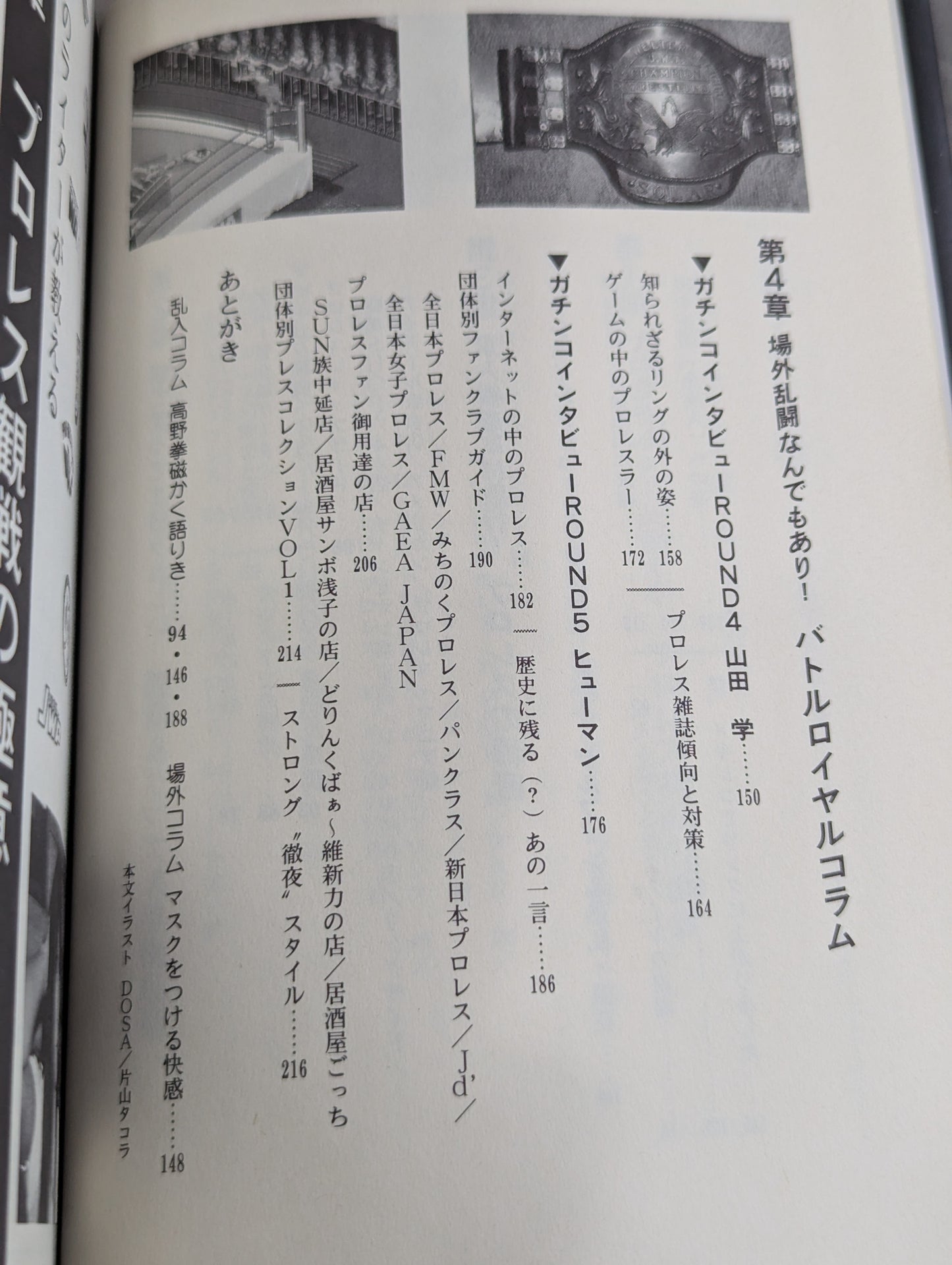 風雲プロレス城 プロレス必勝ガイド決定版