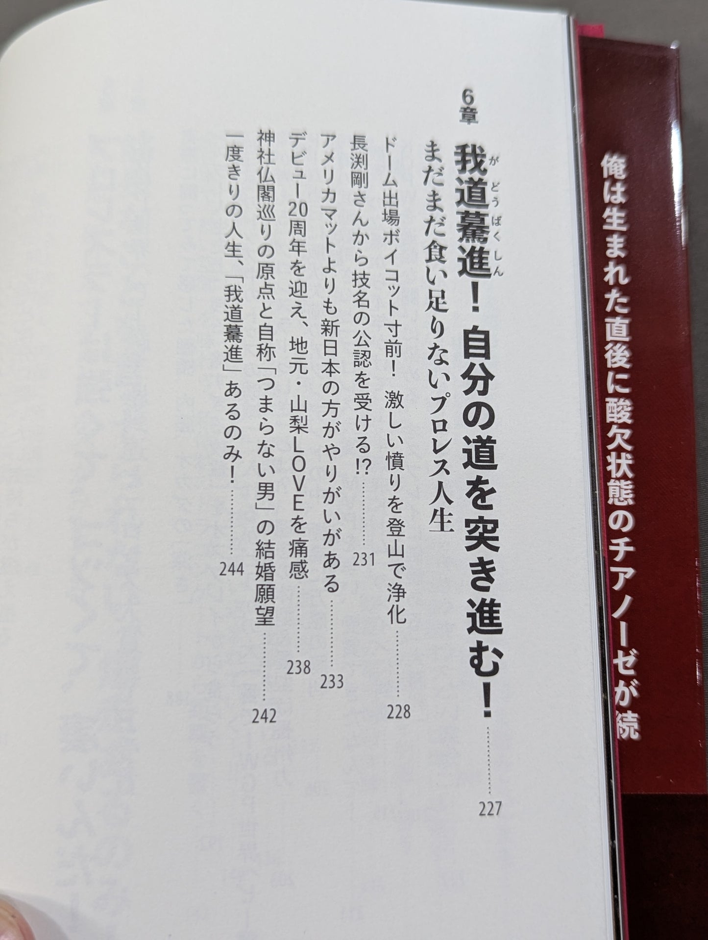 鷹木信悟自伝 我道驀進(がどうばくしん)