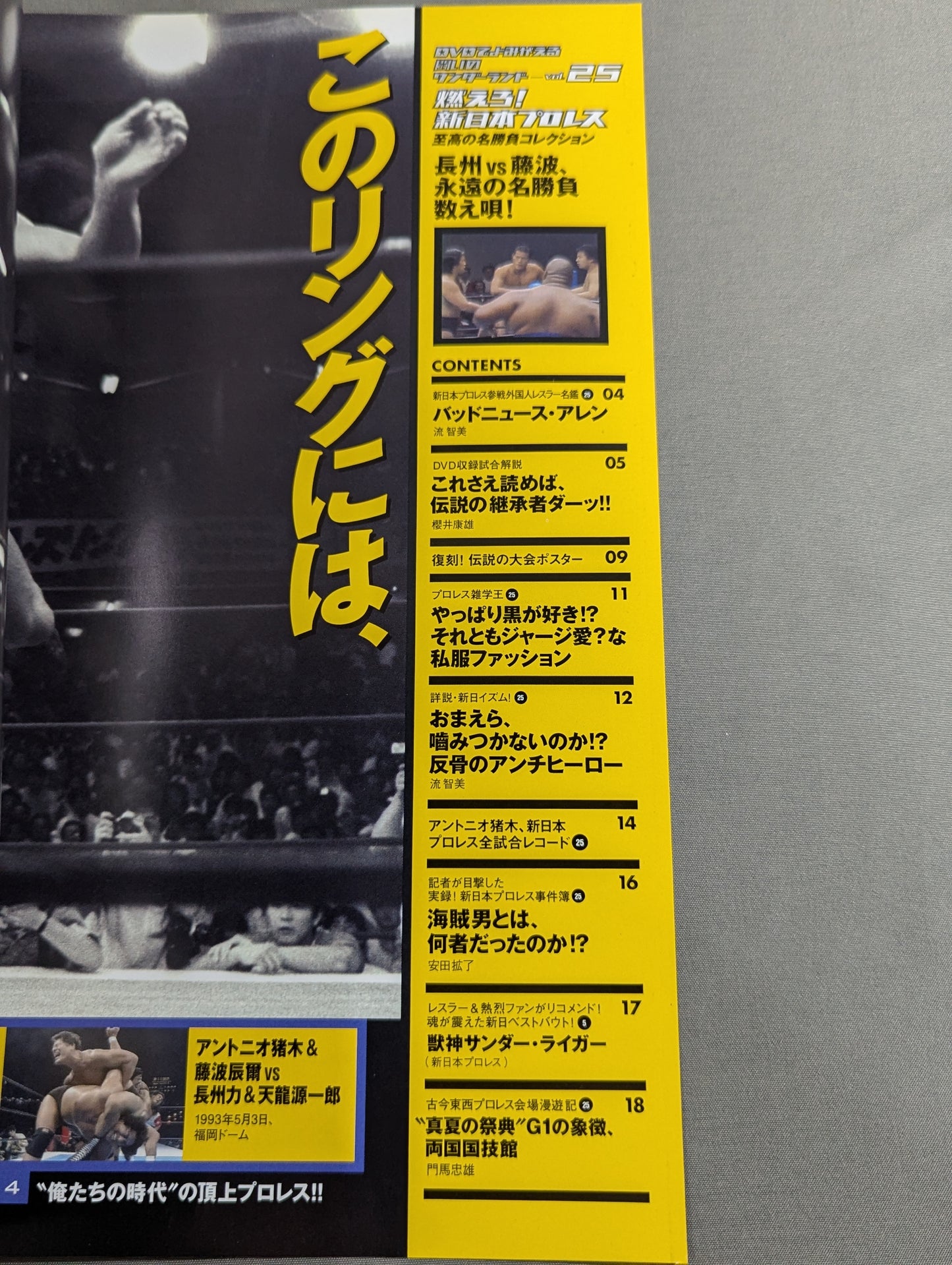 燃えろ!新日本プロレス vol.25