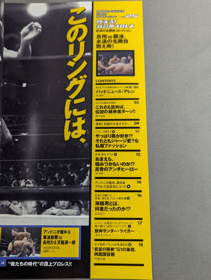 燃えろ!新日本プロレス vol.25