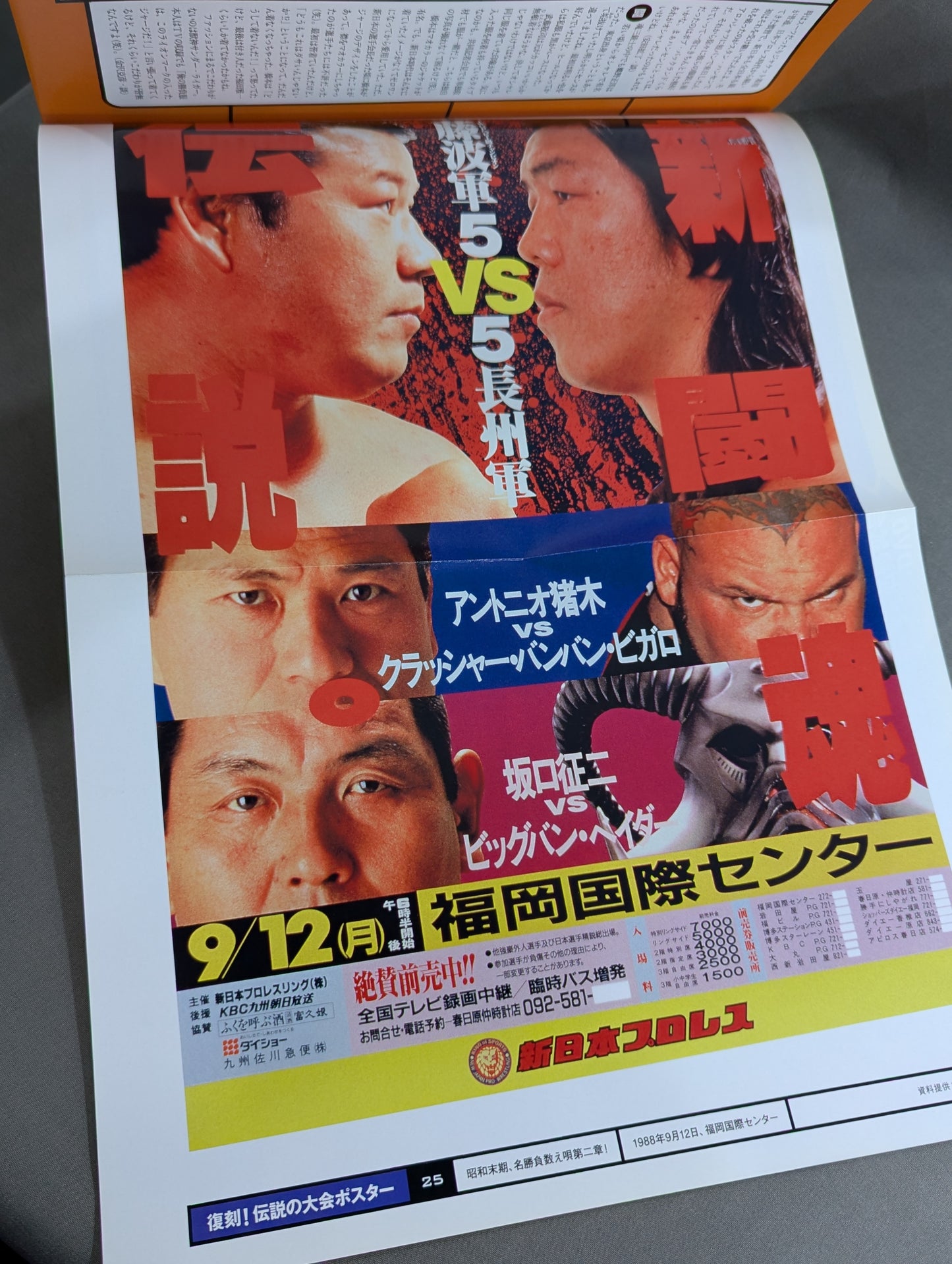燃えろ!新日本プロレス vol.25